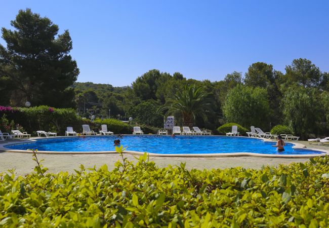 Apartamento en Salou - VANCOUVER 1209 HomeStay by Turismar Apartamento en Salou - VANCOUVER 1209 HomeStay by Turismar