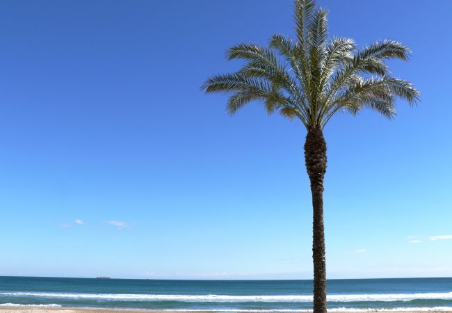 Apartamento en La Pineda - TURISMAR - AQUA MARINA - C Apartamento en La Pineda - TURISMAR - AQUA MARINA - C