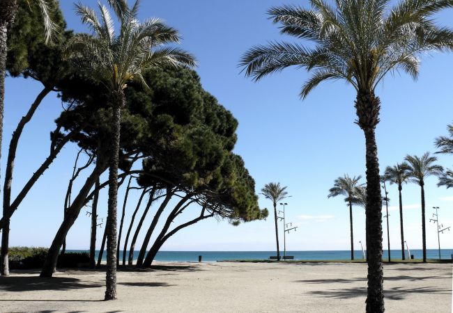 Apartamento en La Pineda - AQUAMARINA  A HomeStay by Turismar Apartamento en La Pineda - AQUAMARINA  A HomeStay by Turismar