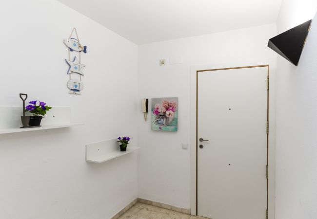Апартаменты на Ла Пинеда - AQUAMARINA  C HomeStay by Turismar Апартаменты на Ла Пинеда - AQUAMARINA  C HomeStay by Turismar