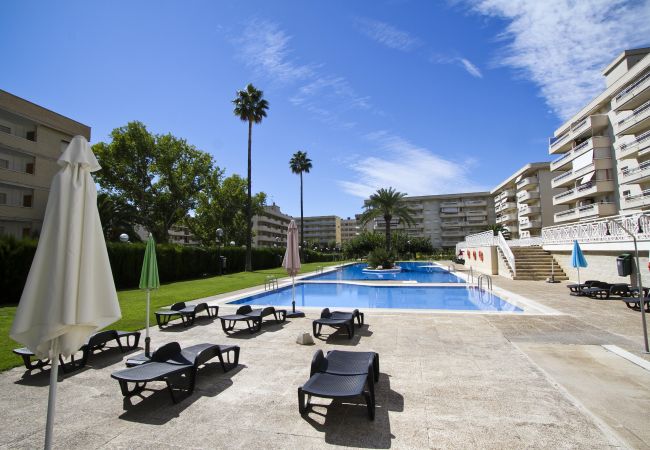 Апартаменты на Ла Пинеда - AQUAMARINA  C HomeStay by Turismar Апартаменты на Ла Пинеда - AQUAMARINA  C HomeStay by Turismar